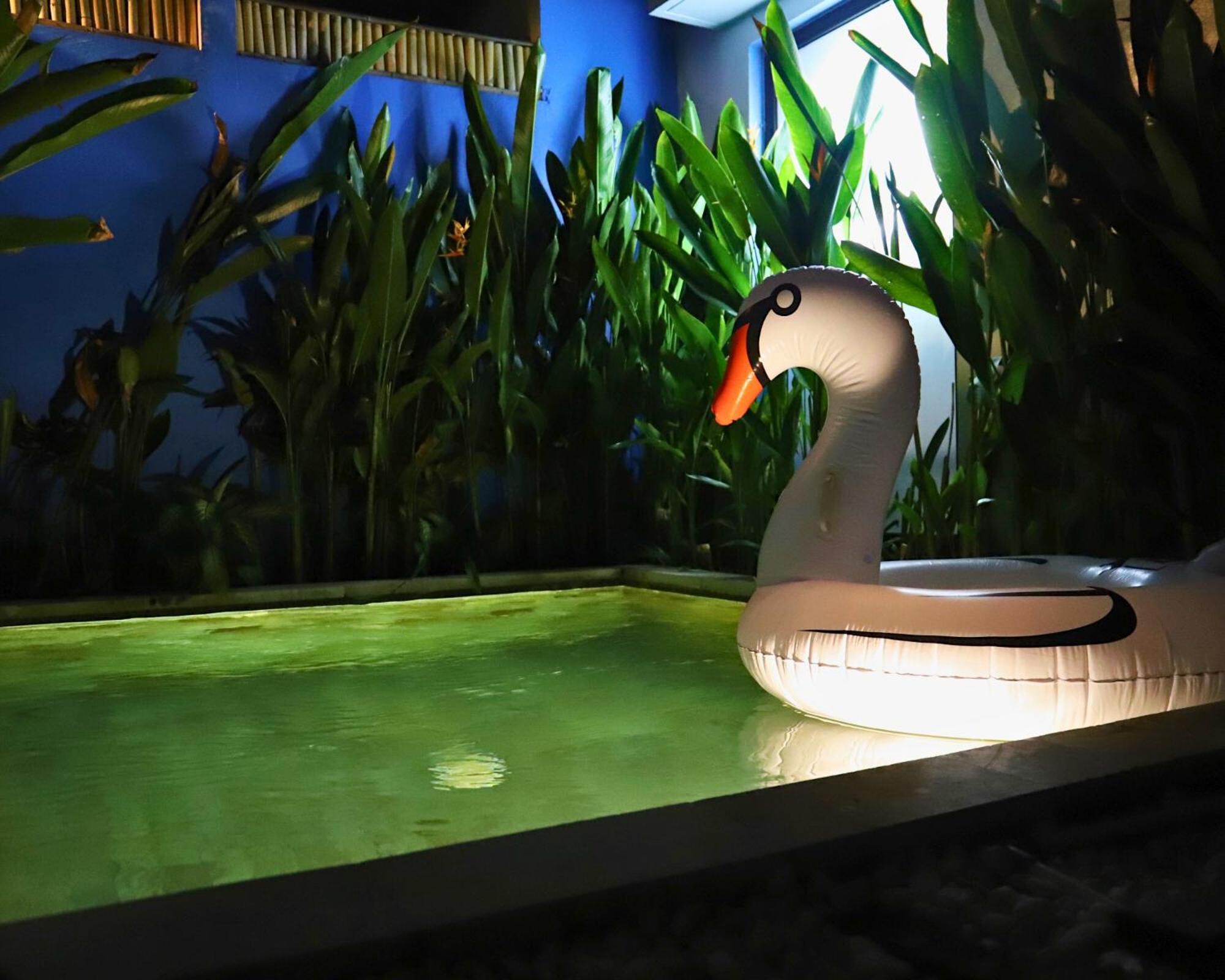Peacock Private Pool Paradise Dalung  Eksteriør billede